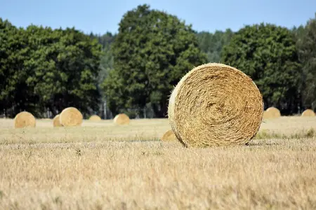 高中物理必修1 P1 质点 参考系